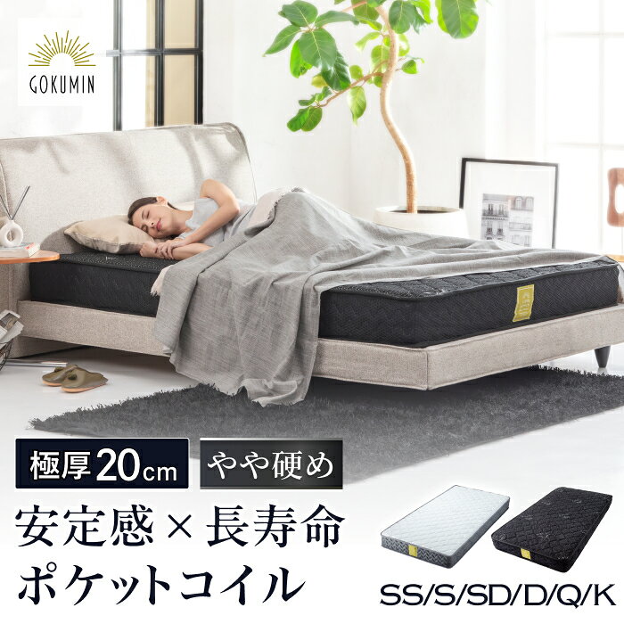 GOKUMIN プレミアム 20cm